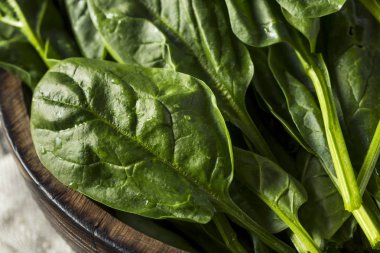 Çiğ yeşil sağlıklı organik ıspanak