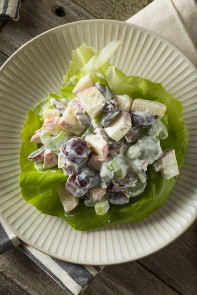 Домашний свежий салат Вальдорф — стоковое фото