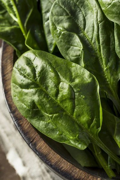 Rohgrüner, gesunder Bio-Spinat — Stockfoto