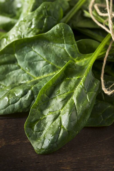 Rauwe groene gezonde biologische spinazie — Stockfoto