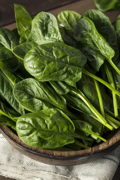 Rauwe groene gezonde biologische spinazie — Stockfoto