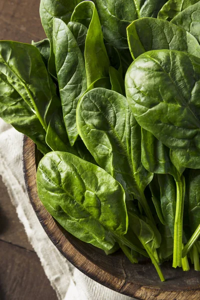Raw Green Healthy Organic Spinach — Stock Photo, Image
