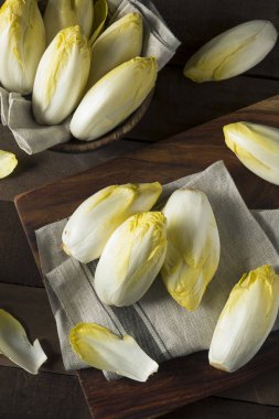 Ham organik Belçikalı hindiba