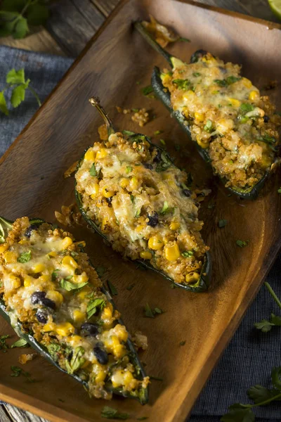 Homemade Roasted Quinoa Stuffed Poblano Peppers — Stock Photo, Image