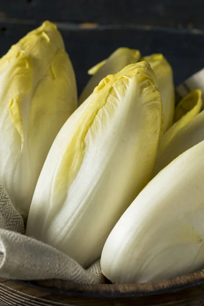 Raw Organic Belgian Endive — Stock Photo, Image