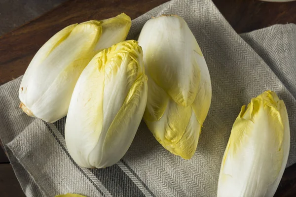 Raw Organic Belgian Endive — Stock Photo, Image