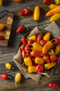 Ham organik Mini tatlı biber