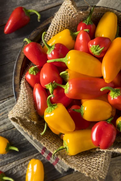 Rauwe biologische Mini paprika — Stockfoto