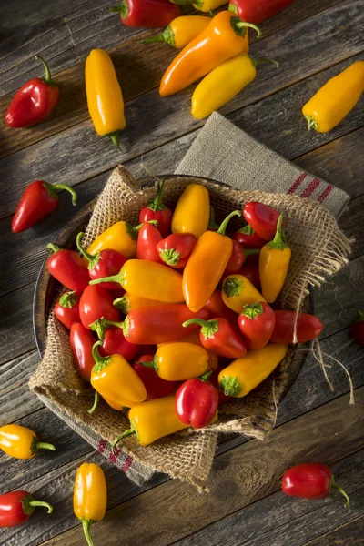 RAW ekologiskt Mini paprika — Stockfoto