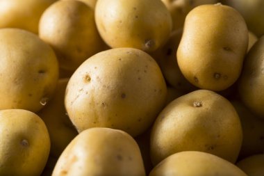 Ham organik bebek altın patates