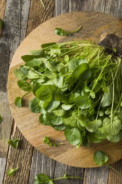 Ham yeşil organik yaşam su Cress