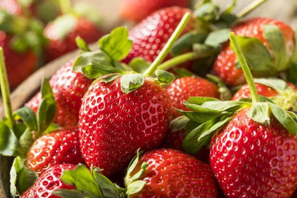 Raw Organic Red Ripe Strawberries — Stock Photo, Image