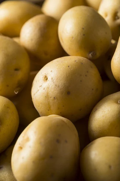 Raw Organic Baby Gold Potatoes