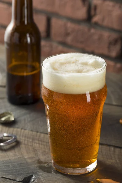 Birra artigianale americana rinfrescante a freddo — Foto Stock