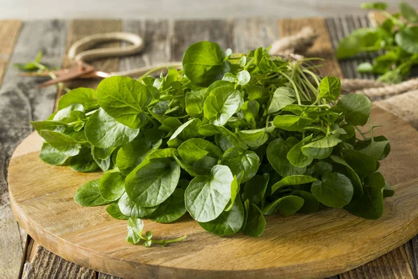 Raw Green Organic Living Water Cress — Stock Photo, Image