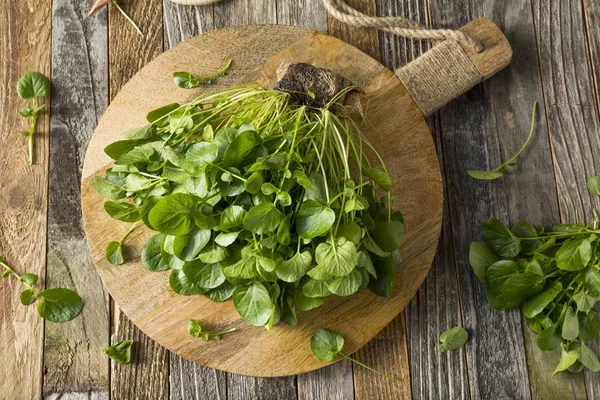 Berro de agua viva orgánico verde crudo —  Fotos de Stock