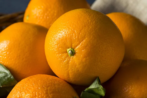 Raw bio Cara Oranges — Stock fotografie