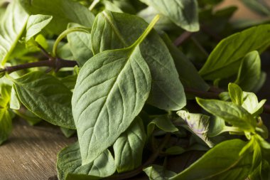 Ham yeşil organik Tay fesleğen