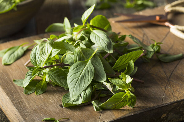 Raw Green Organic Thai Basil