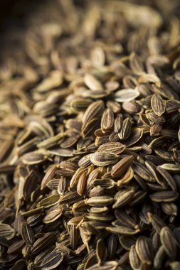 Organik Kuru tarhun tohum baharat