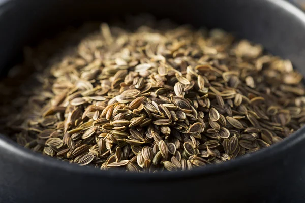 Organik Kuru tarhun tohum baharat