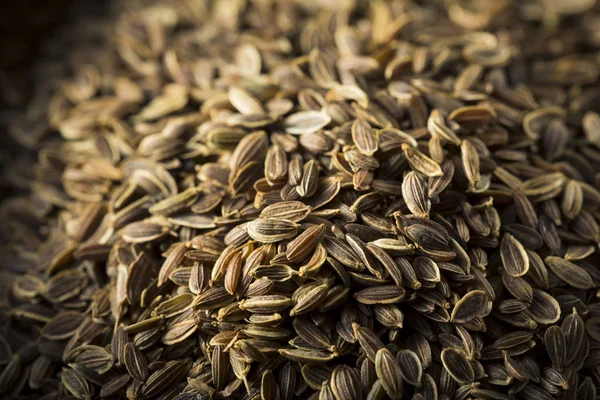 Dry Organic Tarragon Seed Spice — Stock Photo, Image