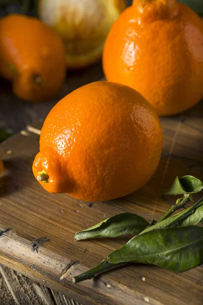 RAW organische Minnela Tangerines — Stockfoto