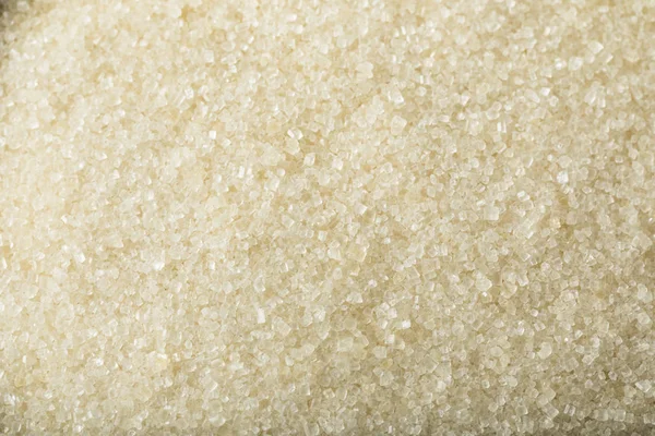 Trestie de zahăr dulce organică brută — Fotografie, imagine de stoc