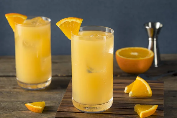 Hemmagjord alkoholhaltiga Gin och Juice Cocktail — Stockfoto