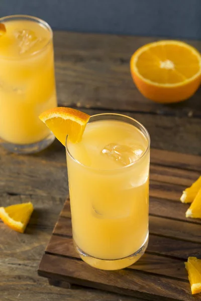 Gin alcolici fatti in casa e succo di frutta Cocktail — Foto Stock