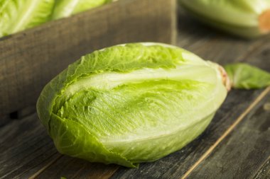 Ham yeşil organik marul