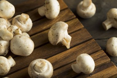 Ham organik bebek düğme mantar