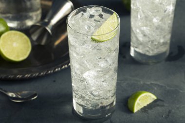 Alkollü votka tonik kokteyl kokteyl