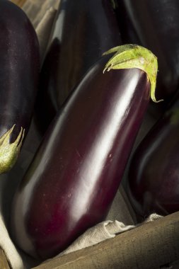 Ham organik mor patlıcan