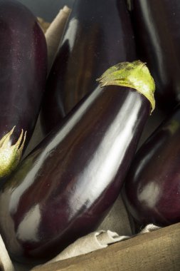 Ham organik mor patlıcan