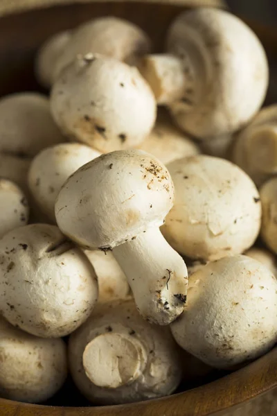 Raw Organic Baby Button Mushrooms — Stock Photo, Image