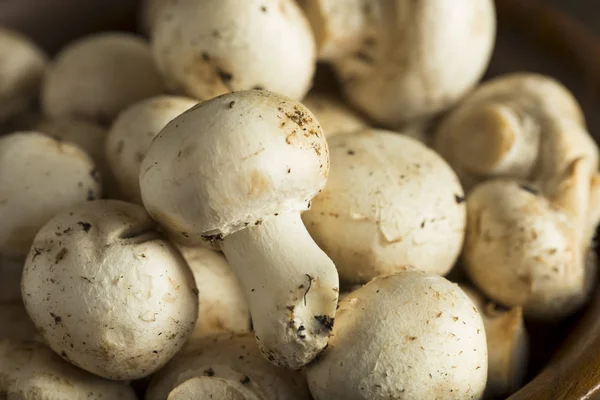 Raw Organic Baby Button Mushrooms — Stock Photo, Image