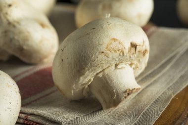 Ham organik beyaz dolgu mantar