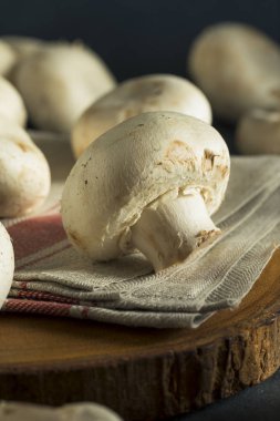 Ham organik beyaz dolgu mantar