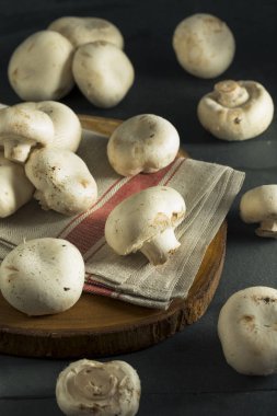 Ham organik beyaz dolgu mantar