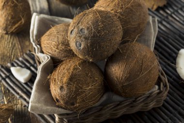 Ham organik tropikal kahverengi hindistancevizi