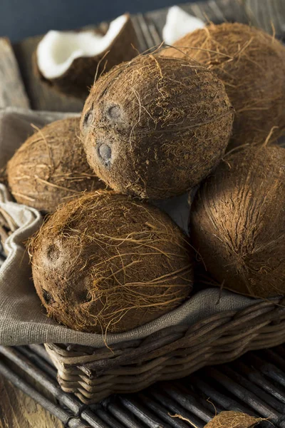 Rauwe biologische tropisch bruin kokosnoten — Stockfoto