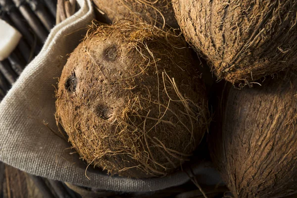 生有機熱帯茶色のココナッツ — ストック写真