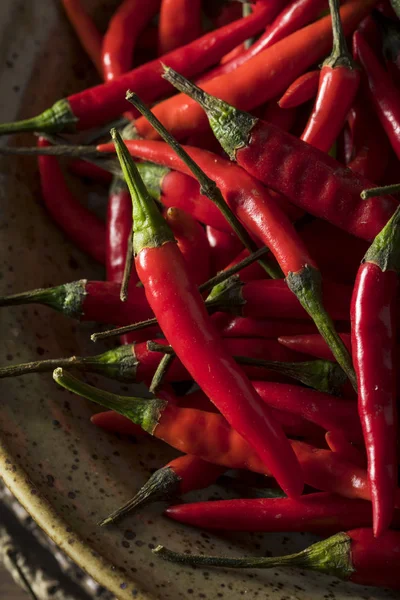 Raw Organic Red Thai Peppers — Stock Photo, Image