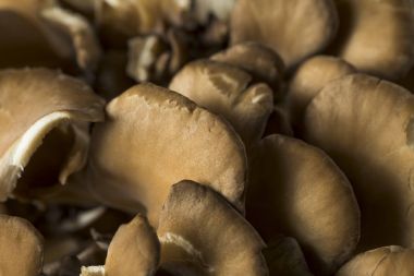 Raw Organic Maitake Mushrooms clipart