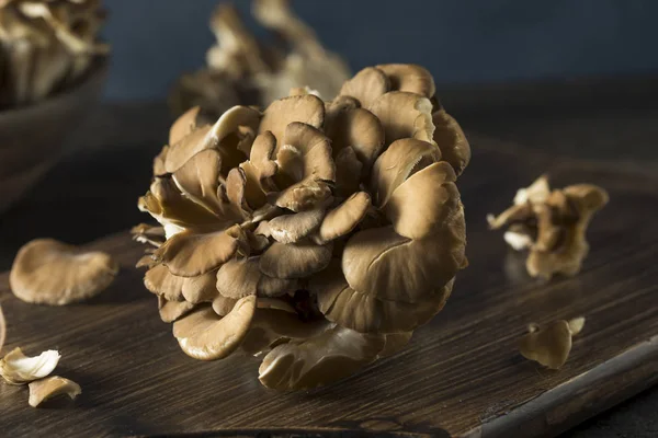 Raw Organic Maitake Mushrooms — Stock Photo, Image