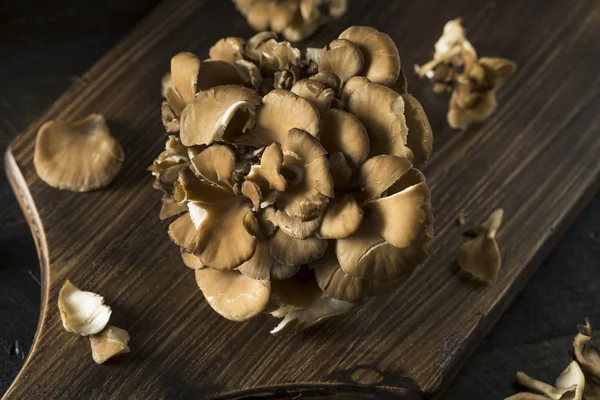 Raw Organic Maitake Mushrooms — Stock Photo, Image