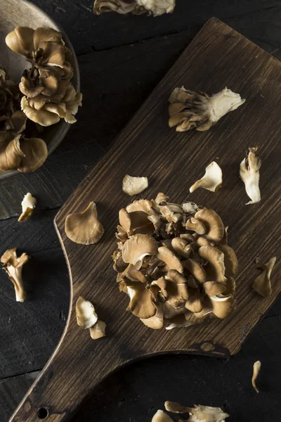 Raw Organic Maitake Mushrooms — Stock Photo, Image