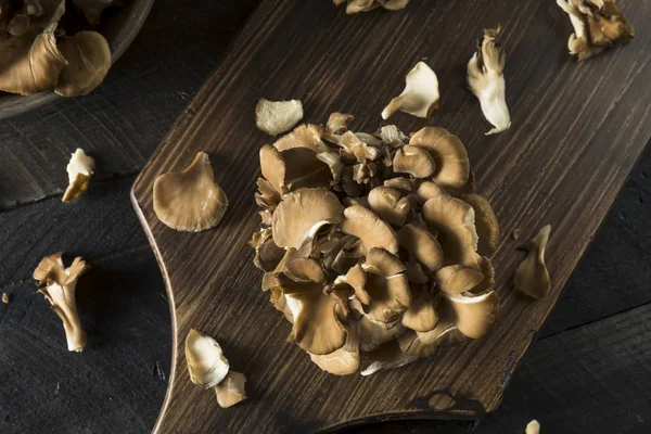 Raw Organic Maitake Mushrooms — Stock Photo, Image