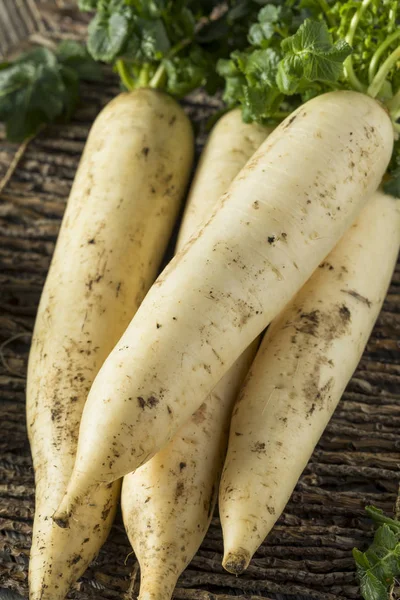 Daikon blanco orgánico crudo — Foto de Stock